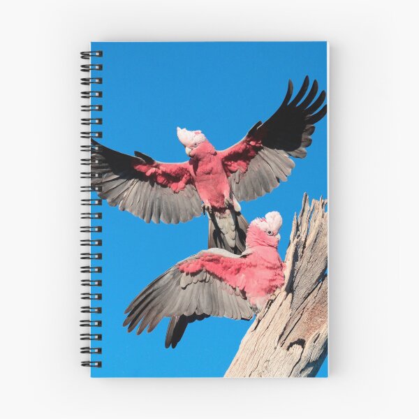 Item preview, Springtime Galahs designed and sold by Phillip Weyers.