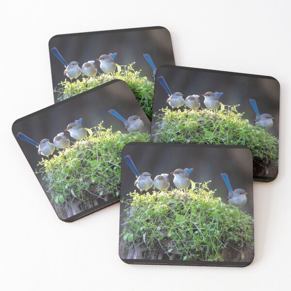 Item preview, A Gaggle of Fairywrens designed and sold by gwenthewren.