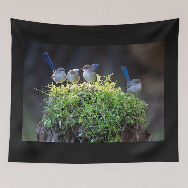 Item preview, A Gaggle of Fairywrens designed and sold by gwenthewren.