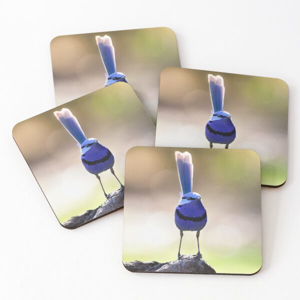 Item preview, Neville the Splendid Fairywren Keeps Watch designed and sold by gwenthewren.