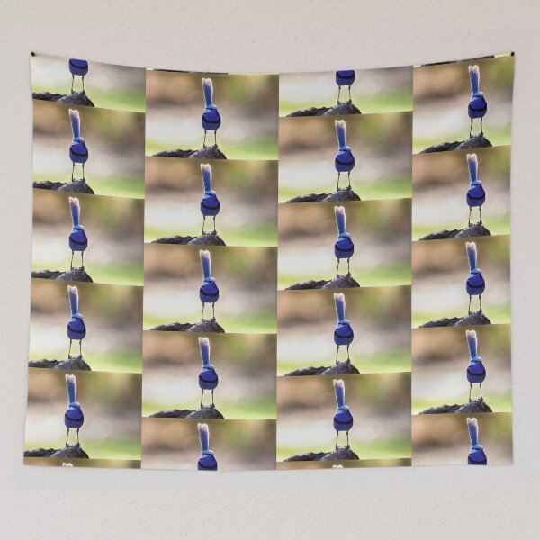Item preview, Neville the Splendid Fairywren Keeps Watch designed and sold by gwenthewren.