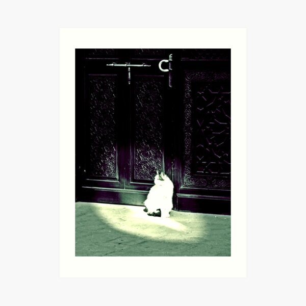 Le Chat Blanc Wall Art Redbubble