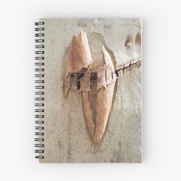 Item preview, A Beautiful Scar designed and sold by Clare Colins.