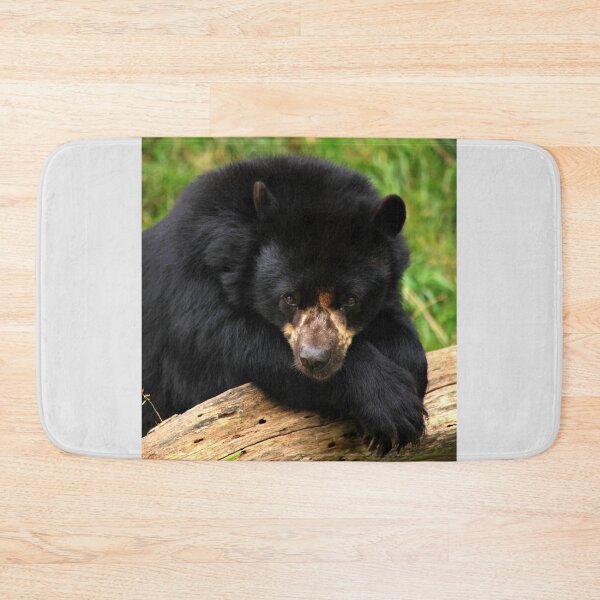 Item preview, Modest Bear II designed and sold by TVD-Photography.