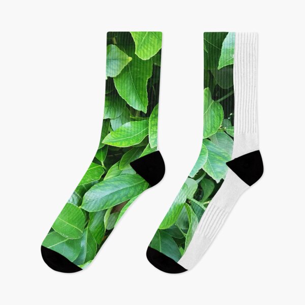 Item preview, Lemon Tree Leaves designed and sold by AstroRisq.