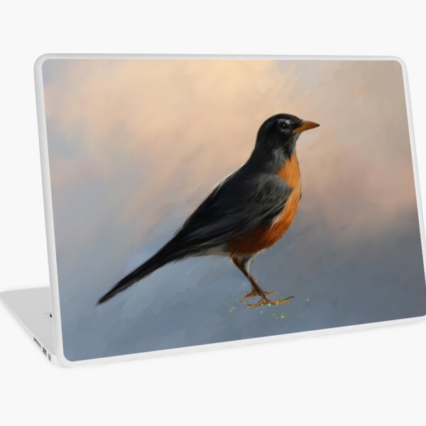 Macbook Air 13" (2015)