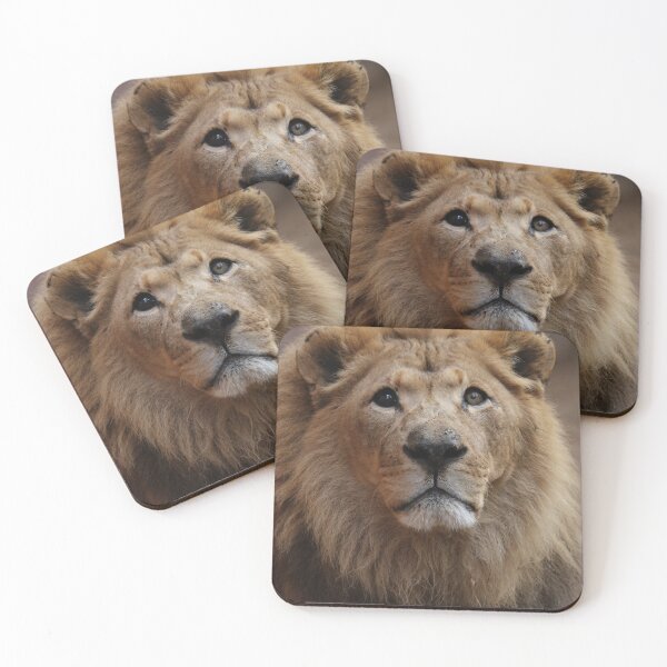 Item preview, Lion designed and sold by MelKowasic.