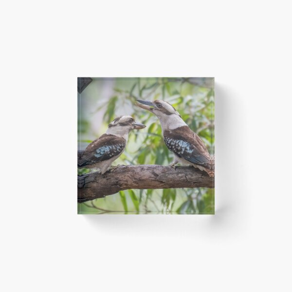 Item preview, A couple of Kookas! designed and sold by Roger  Mackertich.