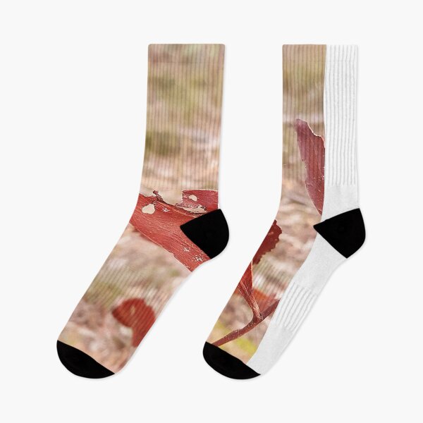 Item preview, Red Eucalypt Leaves, Stawell designed and sold by AstroRisq.