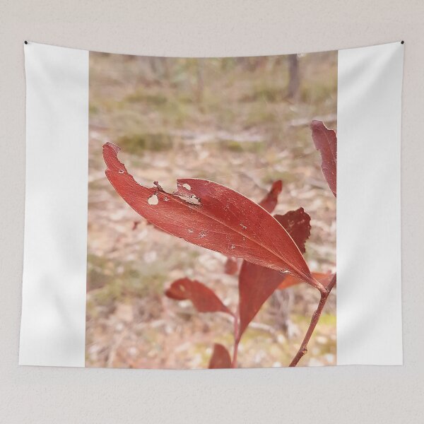Item preview, Red Eucalypt Leaves, Stawell designed and sold by AstroRisq.