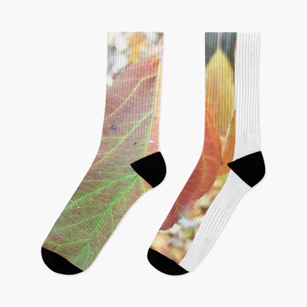 Item preview, Apple Tree Leaves, Stawell, June 21, 2017 designed and sold by AstroRisq.