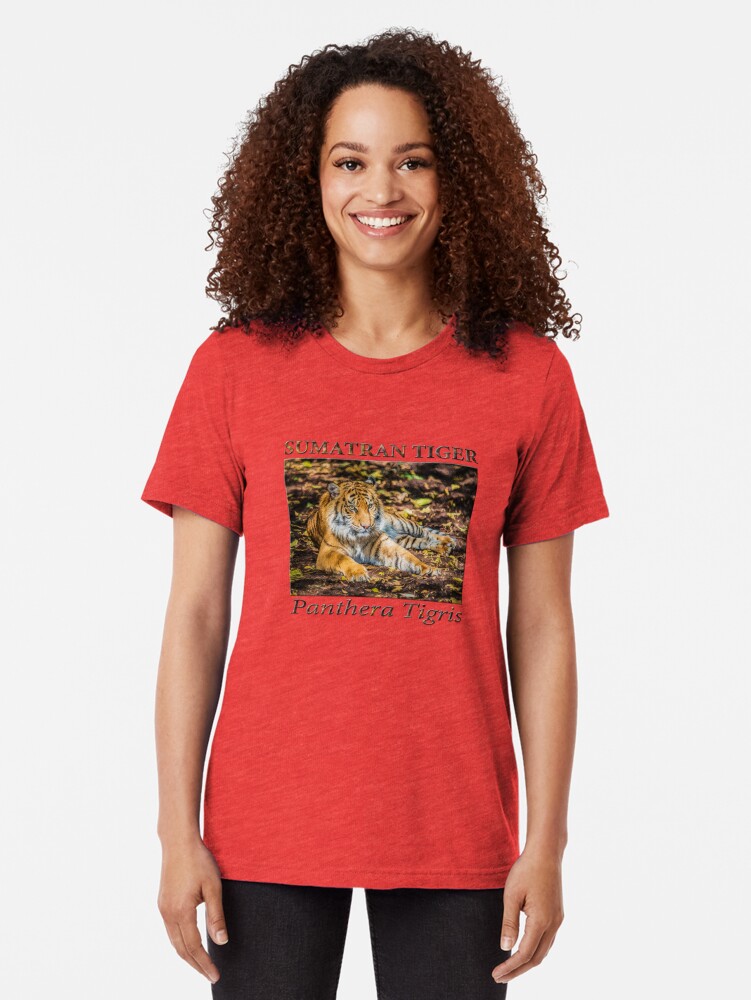Alternate view of Big Cat (digital painting) Tri-blend T-Shirt