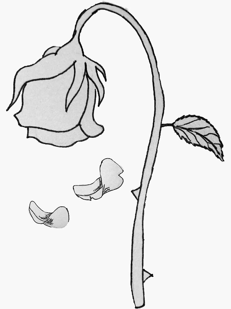 "Wilted rose " Sticker for Sale by chaparitooo Redbubble