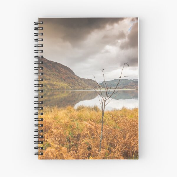 Item preview, Autumn splendour designed and sold by Barno123.