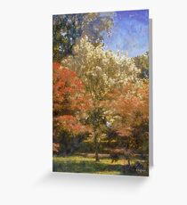 Red Maples Greeting Card