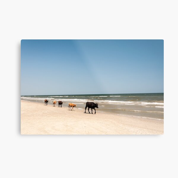 Stroll Metal Print