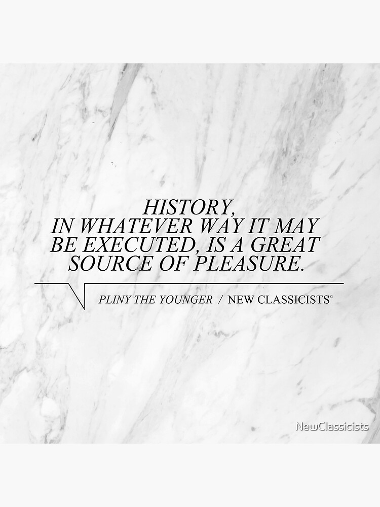 New Classicists Pillow - Pliny #1 by NewClassicists
