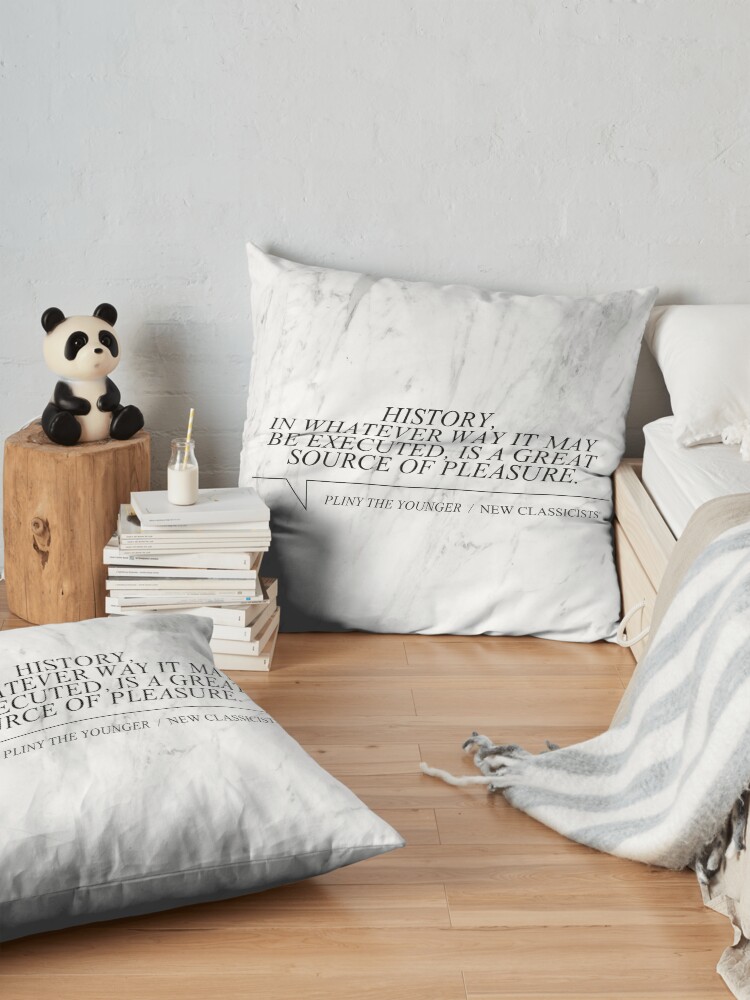 Alternate view of New Classicists Pillow - Pliny #1 Floor Pillow