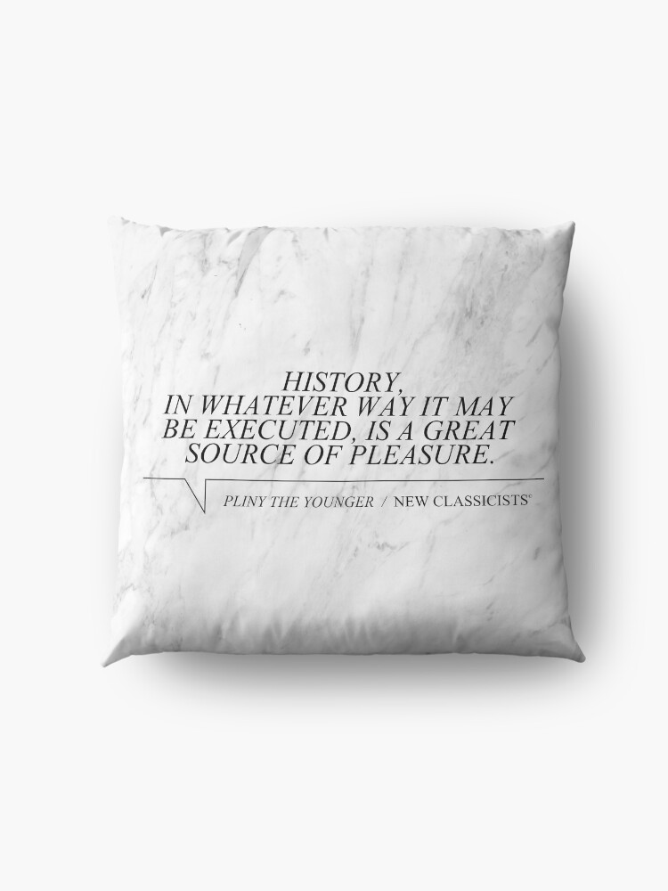 Alternate view of New Classicists Pillow - Pliny #1 Floor Pillow