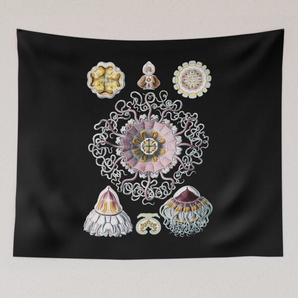 Item preview, The Crown or Helmet Jellyfish (Periphylla periphylla). designed and sold by Squirrox.