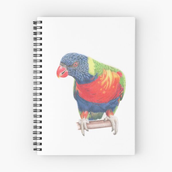 Item preview, Rainbow lorikeet designed and sold by Grey Heron Images.