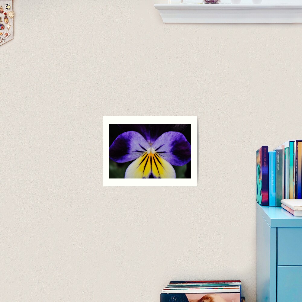 Item preview, Art Print designed and sold by pauleden.