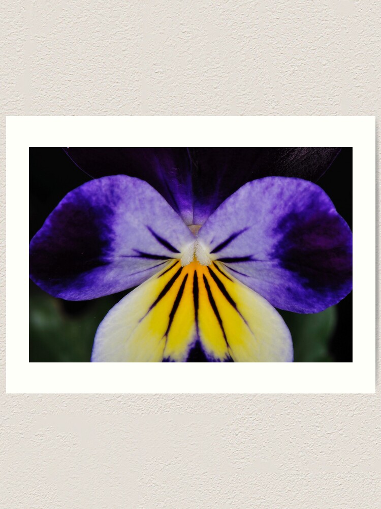 Alternate view of Wake Up! Art Print