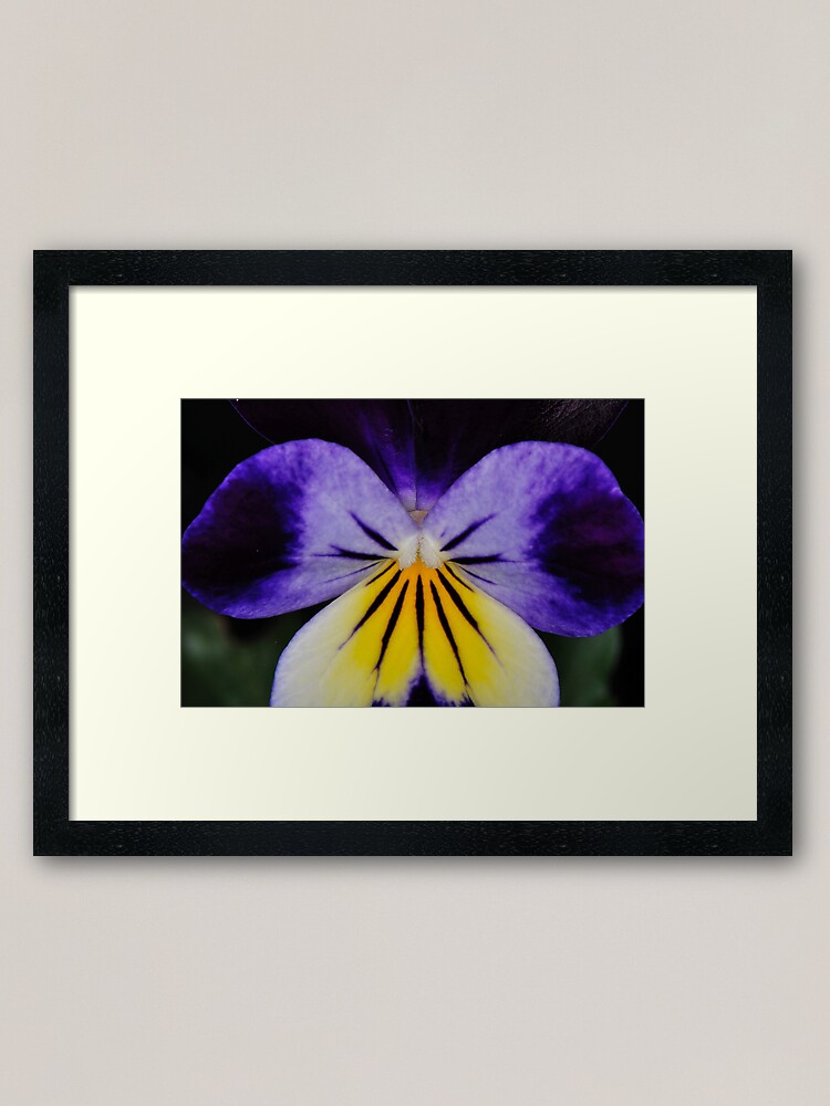 Alternate view of Wake Up! Framed Art Print