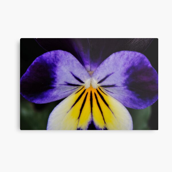 Wake Up! Metal Print