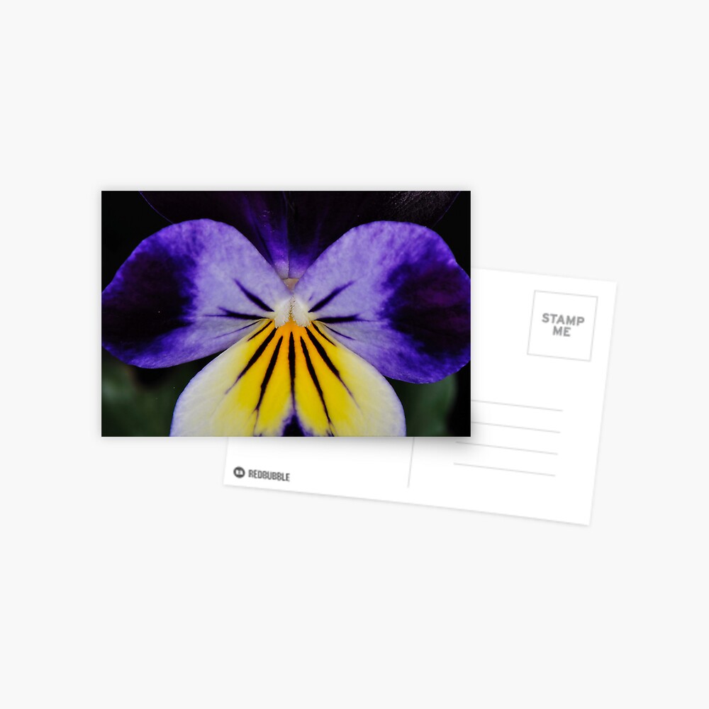 Item preview, Postcard designed and sold by pauleden.