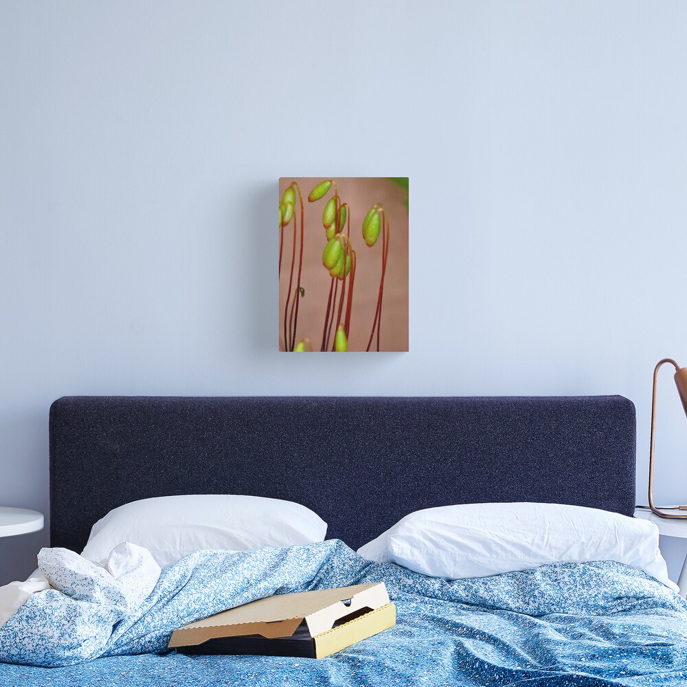 Moss Flowers Canvas Print