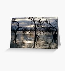 Kinchega Lakes Greeting Card