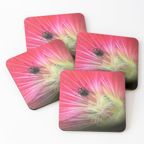 Item preview, A Fly in the Hollyhock designed and sold by imaginethis.