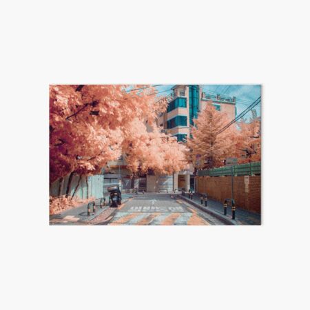Dolgoji, Seoul Art Board Print