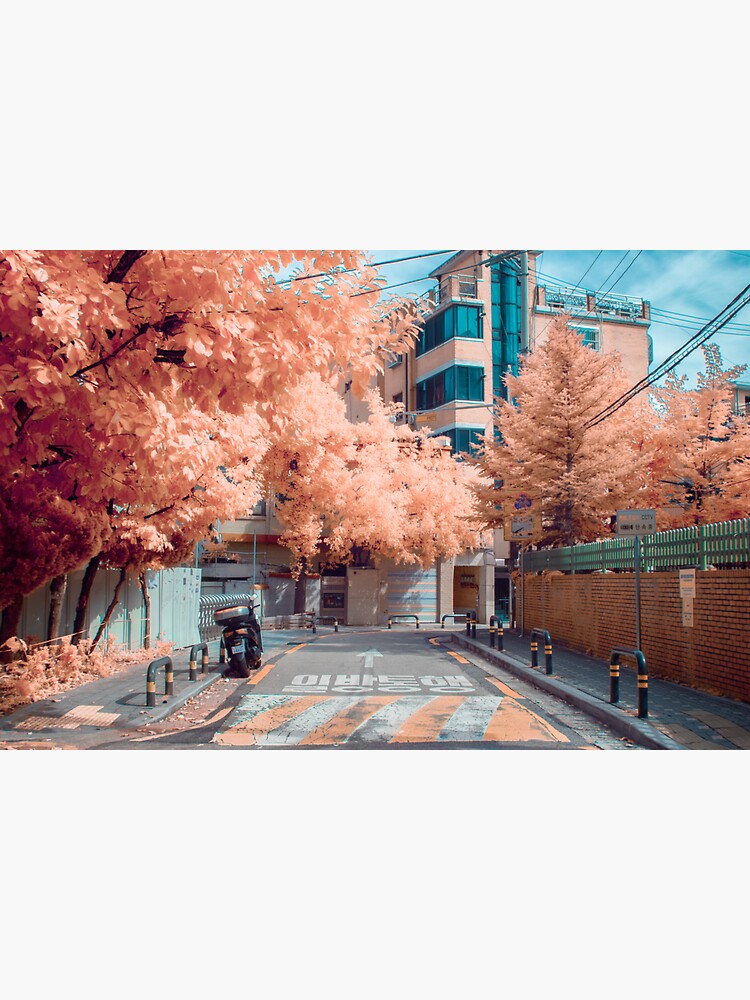 Dolgoji, Seoul by noealz