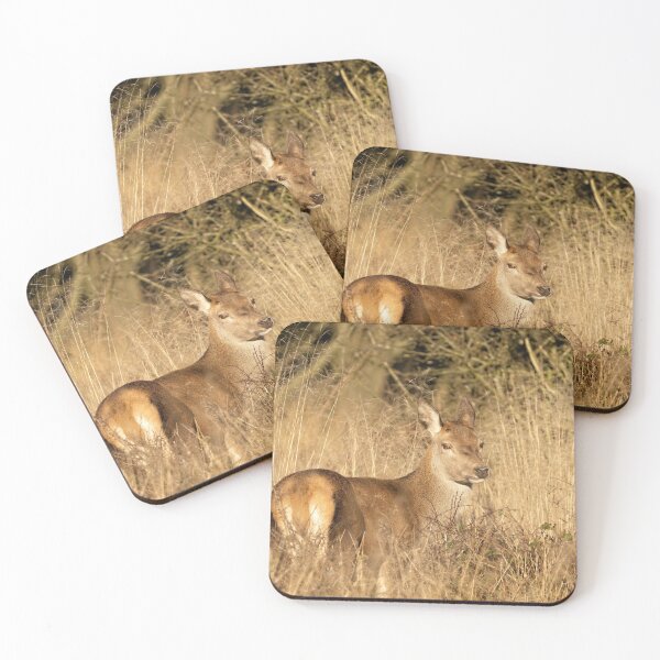 Item preview, Wild Red Deer designed and sold by rawshutterbug.