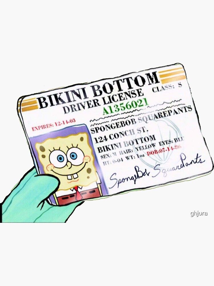 Pegatina «Bob Esponja Licencia de conducir» de ghjura Redbubble