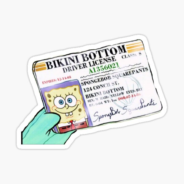 Bikini Bottom Drivers License Gifts Merchandise Redbubble