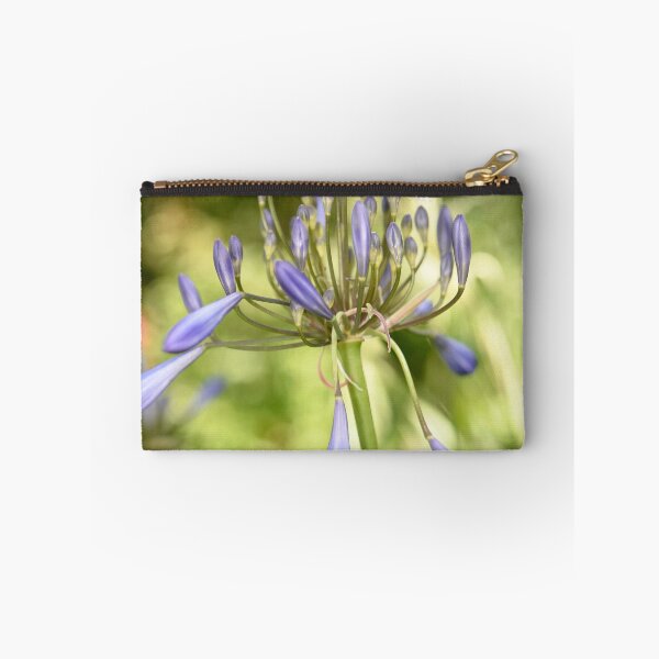 Item preview, Soon to Bloom - Agapanthus designed and sold by imaginethis.
