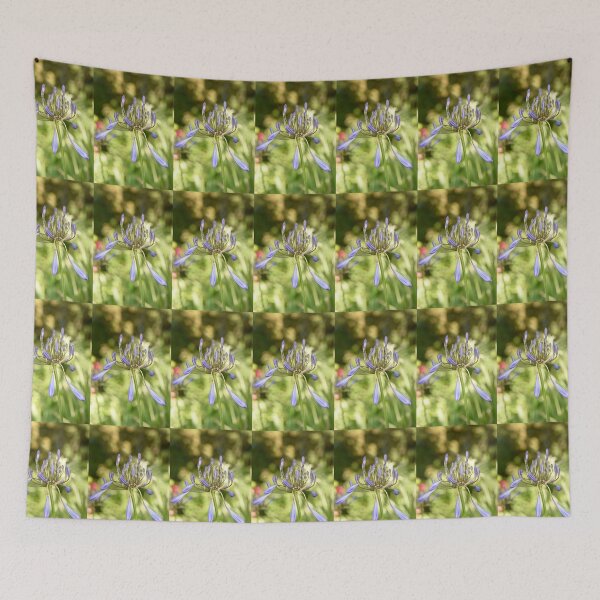 Item preview, Soon to Bloom - Agapanthus designed and sold by imaginethis.
