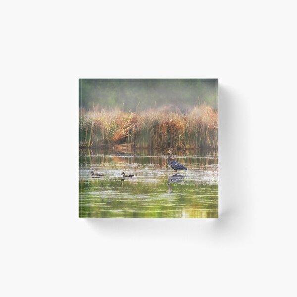 Item preview, International Migratory Day designed and sold by Yannik Hay.