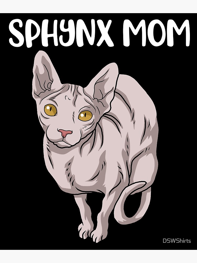 KIWI – Sphynx Cat Wear