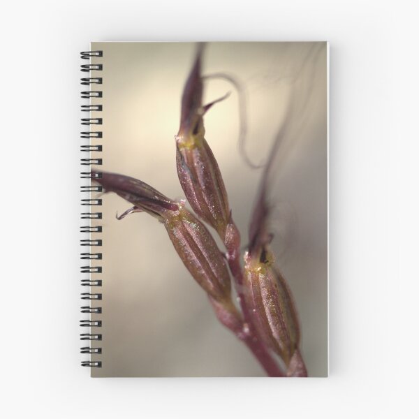 Item preview, Mayfly Orchid  designed and sold by Ben Loveday.