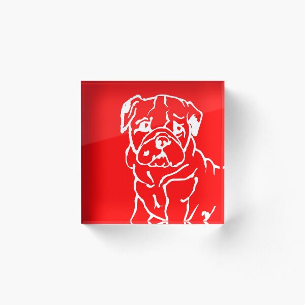 Cute Bulldog Puppy Acrylic Block