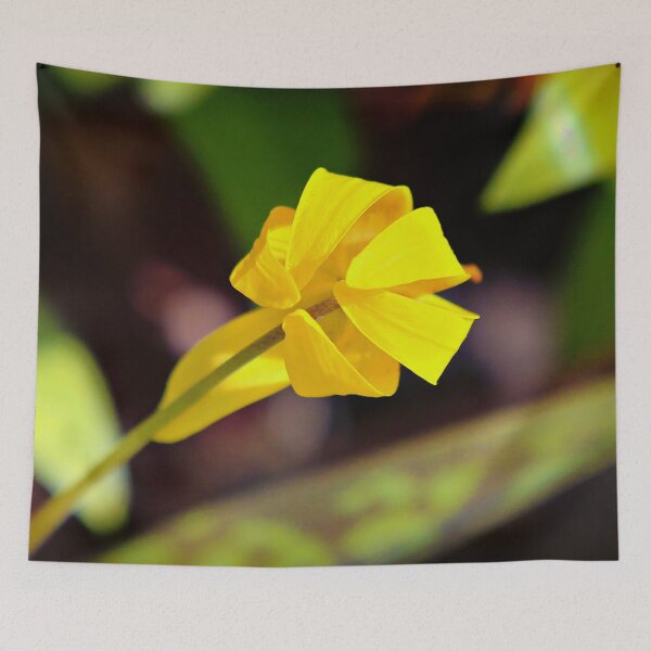 Item preview, Trout Lily designed and sold by Yannik Hay.