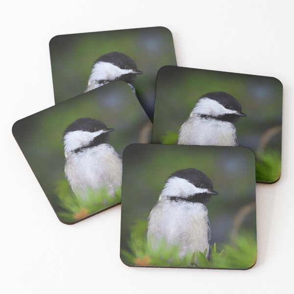 Item preview, Black-Capped Chickadee 2 designed and sold by Yannik Hay.