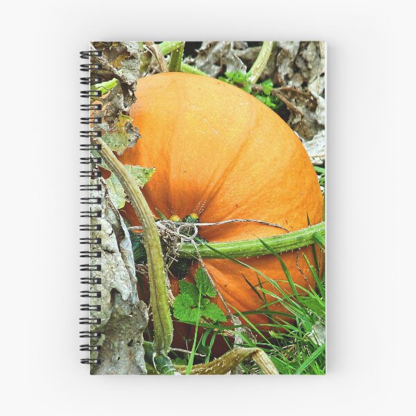 Item preview, Pumpkin time again........ designed and sold by lynn carter.