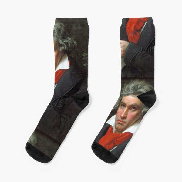 Beethoven Portrait, 1819 Socks