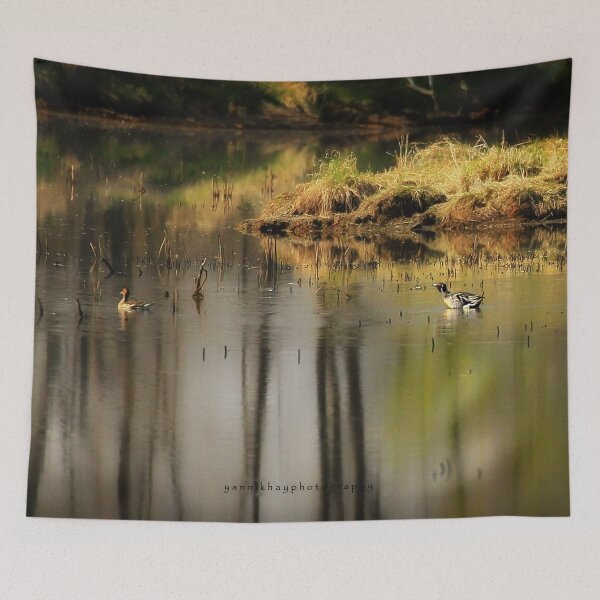 Item preview, Northern Pintail / Canard pilet designed and sold by Yannik Hay.