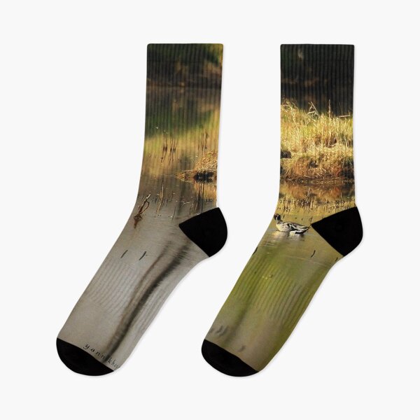 Item preview, Northern Pintail / Canard pilet designed and sold by Yannik Hay.